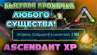 ASCENDANT XP или КАК ПОДНЯТЬ МНОГО УРОВНЕЙ в ARK MOBILE? #ark #arkmobile #арк #аркмобайл #rec #рек