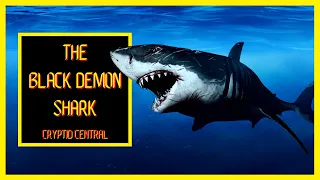 The Black Demon Shark - A Short Documentary (2022)