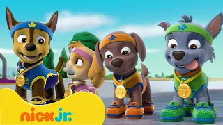 Psi Patrol | Szczenięta z Psiego Patrolu uprawiają sporty na śniegu ❄️ | Nick Jr. Polska