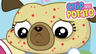Chip and Potato | Puggy Butterfly // Itchy Chip | Cartoons For Kids