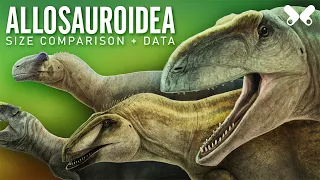ALLOSAUROIDEA Dinosaurs.  size comparison and data