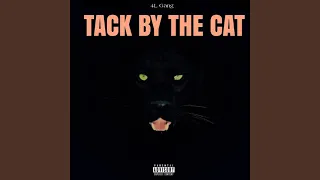 Tack by the Cat