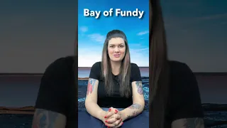 Discover the Bay of Fundy