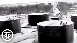Есть сибирская нефть! (1965)