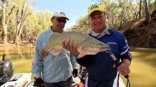 IFISH Electro Fishing for Murray Cod