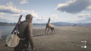 RED DEAD REDEMPTION 2 - Catching a Wild Horse