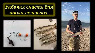 🎣 Уловистый монтаж (снасть) для Ловли Пеленгаса и Кефали своими руками #DENLife