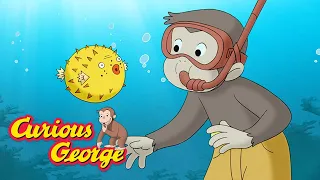 Curious George 🐠 George Visits a Coral Reef 🐠 Kids Cartoon 🐵 Kids Movies 🐵 Videos for Kids