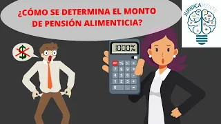 ¿CÓMO SE DETERMINA EL MONTO DE PENSIÓN ALIMENTICIA?