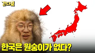 한국에는 왜 원숭이가 없을까?