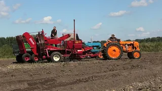 NOSTALGISCH AARDAPPEL ROOIEN FORD RENAULT GRIMME STERBO