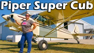 Piper Super Cub - The Original Bush Plane