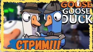 КРЯЧНЫЙ ВЕЧЕР! | Goose Goose Duck