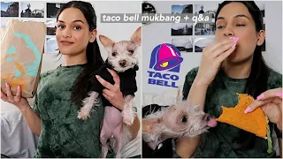 taco bell *mukbang* & answering ur questions