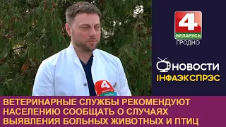 Ветеринарные службы рекомендуют населению сообщать о случаях выявления больных животных и птиц