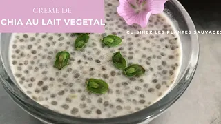 RECETTE VEGETALE CREME DE CHIA ecole de cuisine des plantes sauvages