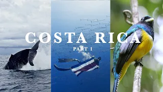 COSTA RICA Land Tour and Scuba Diving | Part 1