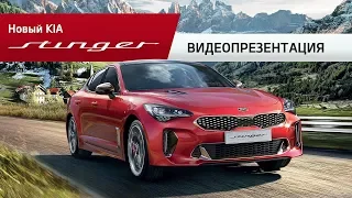 Kia Stinger | видео-обзор нового Киа Стингер