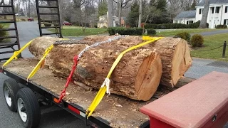 Loading HEAVY Oak Logs - One Man Alone!