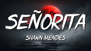 Senorita - Shawn Mendes (Lyrics) || David Kushner , Ava Max... (MixLyrics)