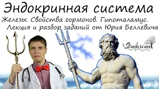 Эндокринная система. Гормоны. Гипоталамус. Болезни. Лекция и разбор заданий от Юрия Беллевича