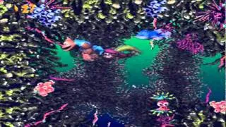 Donkey Kong Country 3 105% | Part 17 (Fish Food Frenzy)