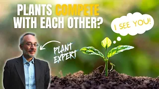 Plant CONSCIOUSNESS? Stefano Mancuso explains plant neurobiology | Out Of Our Minds Podcast