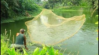 Net Fishing ll Lot Of Big Fish Catching Using by Cast Net in The Beautiful Village Pond