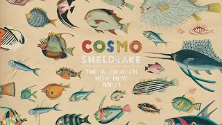 Cosmo Sheldrake - Pliocene