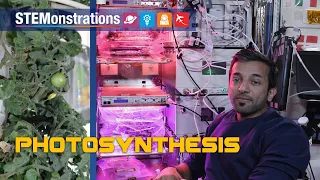 STEMonstration: Photosynthesis