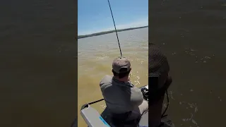 LiveScoping Giant Crappie in Mississippi on Grenada Lake! #fish #fishing #outdoors #2023 #fyp #fun