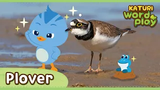 * plover * | Katuri Word Play | Learn Animals | Animals for kids to learn