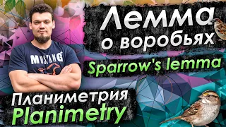 Sparrow's lemma - Free Geometry and Mathematics lesson