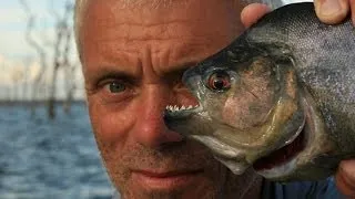 River Monsters| Речные монстры||Jeremy Wade (сезон 1 серия 1 "пиранья" )