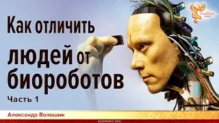 Как различать людей и биороботов. Александр Волошин. Часть 1