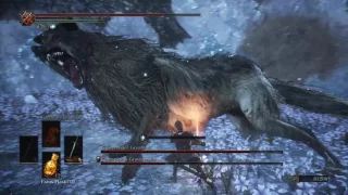 Dark Souls III - Champion's Gravetender & Champion's Greatwolf