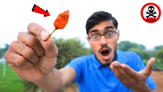 Eating World's Hottest Chilly- CAROLINA REAPER Challenge🥵 | Jolochip इसी मिर्च से बनती है |