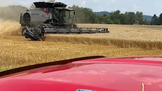 So just how Good is our New Gleaner Combine? Let’s check