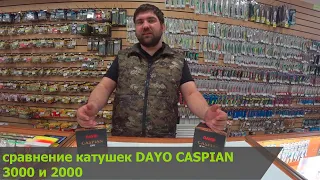 Обзор катушек DAYO CASPIAN 3000 и 2000