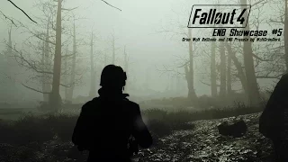 Fallout 4 ENB Showcase # 5 Grim Wolf ReShade and ENB Presets