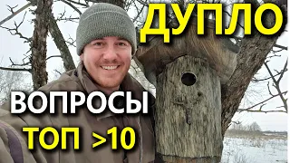 Вопросы о домиках для птиц. Дуплянка из Бобруйска