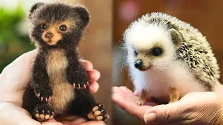 Funny  Animals SOO Cute ! Cute baby animals Videos Compilation cutest moment of the animals #9