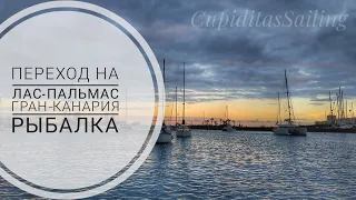 Переход на Лас Пальмас, регата Оптимистов, морская рыбалка | Жизнь на яхте  Cupiditas