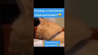 100 раз пересмотрел 😂 #мем #shorts #мемыскотами #подпишись