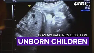 COVID vaccine does not harm unborn babies, new study shows