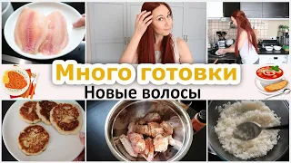 На кухне с белкой. Много готовлю. Новые волосы