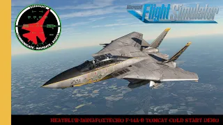 Heatblur/IndiaFoxtEcho F-14A/B Tomcat Cold Start Demo