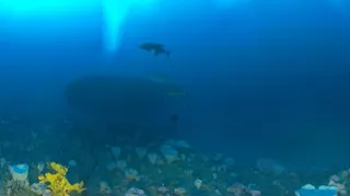 No-take National Park Zone of the Ningaloo Marine Park (Commonwealth waters)