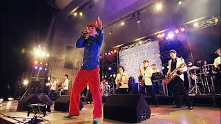 ハナレグミ - ｢オリビアを聴きながら with 東京スカパラダイスオーケストラ｣ Live Video