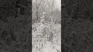 Юрий Шатунов "Заметает листья снег"